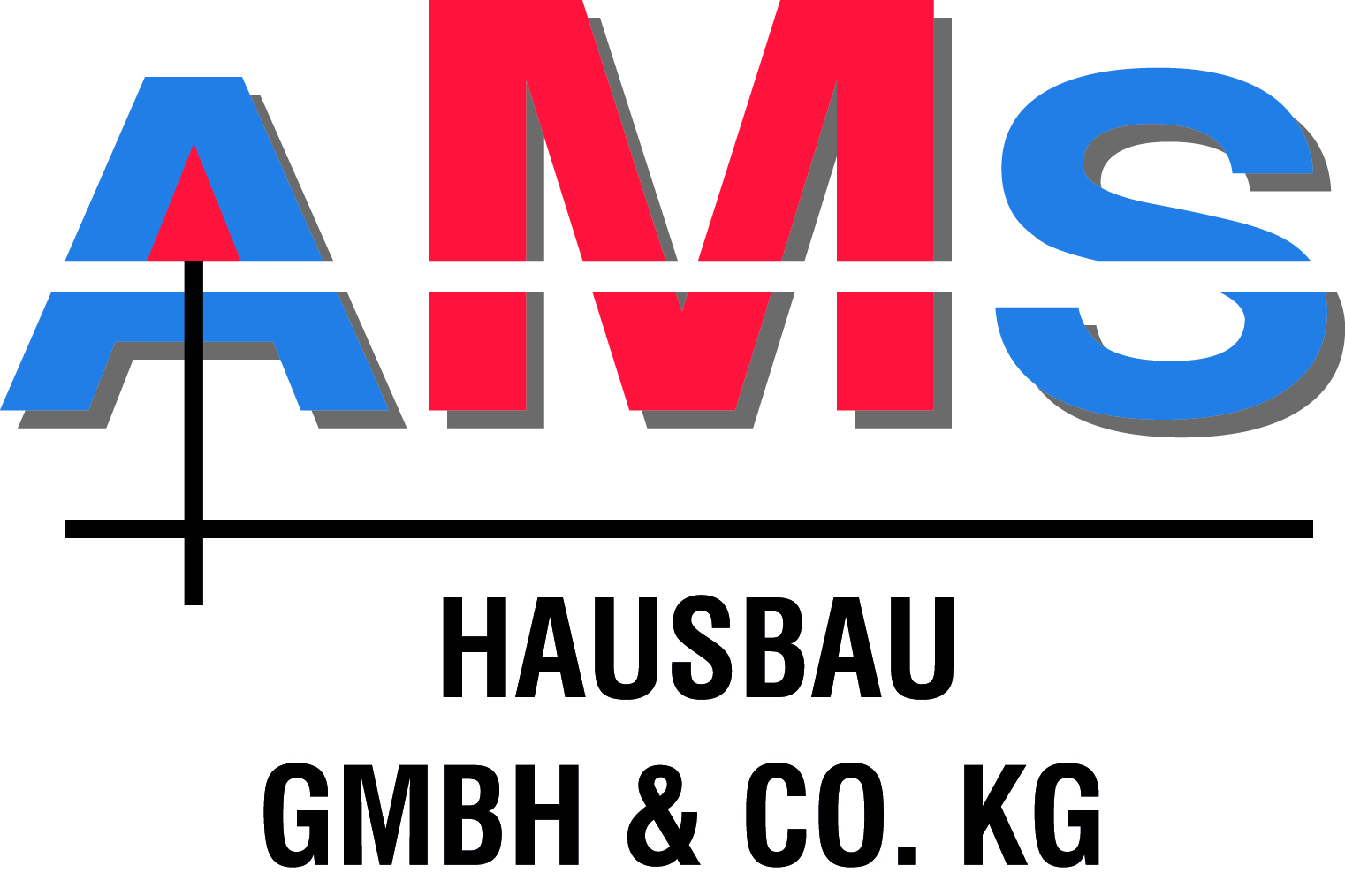 Firmenlogo AMS Hausbau